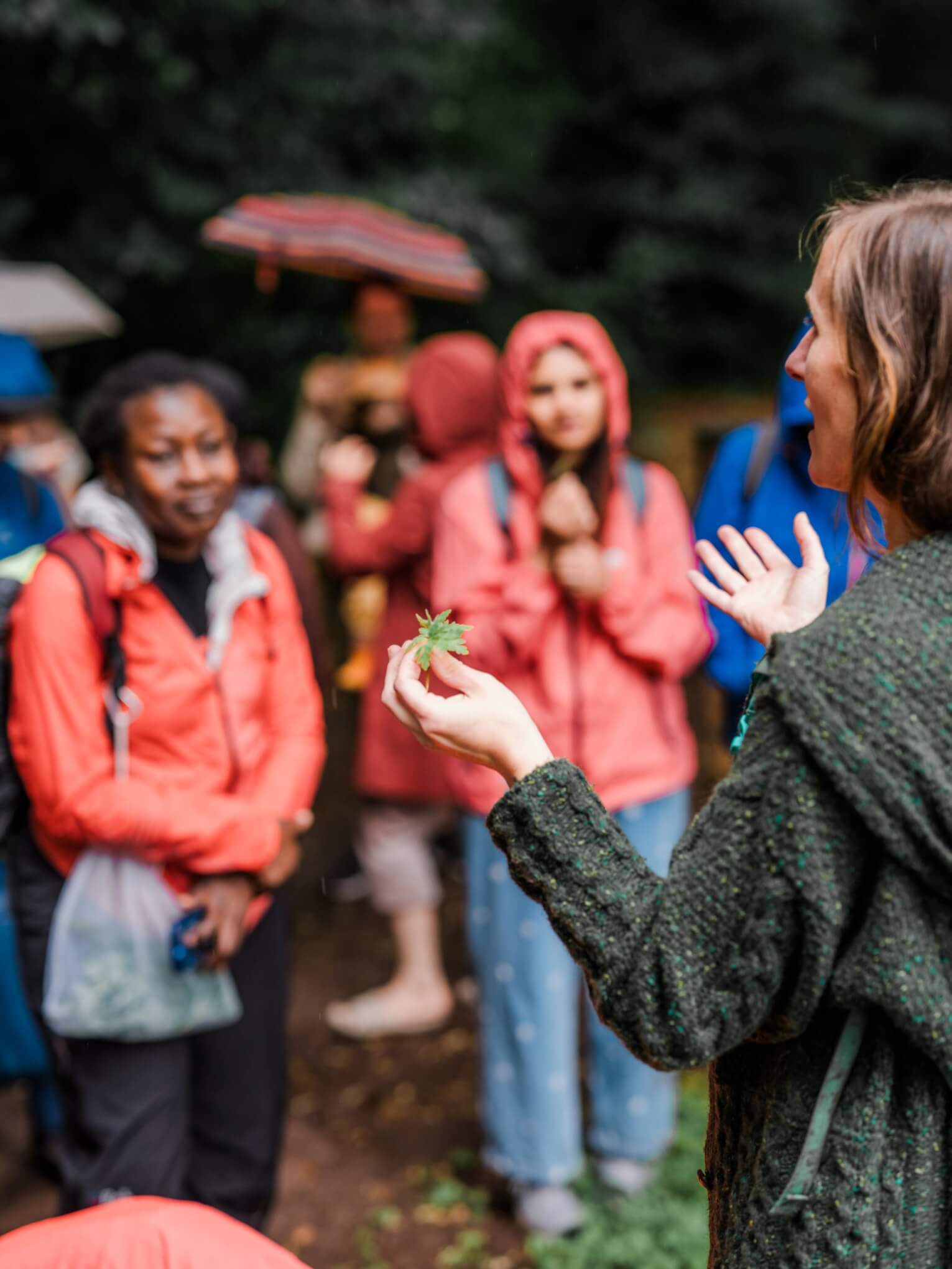 Bex Northman showing a wild leaf to a group in waterproofs on a rainy woodland foraging walk