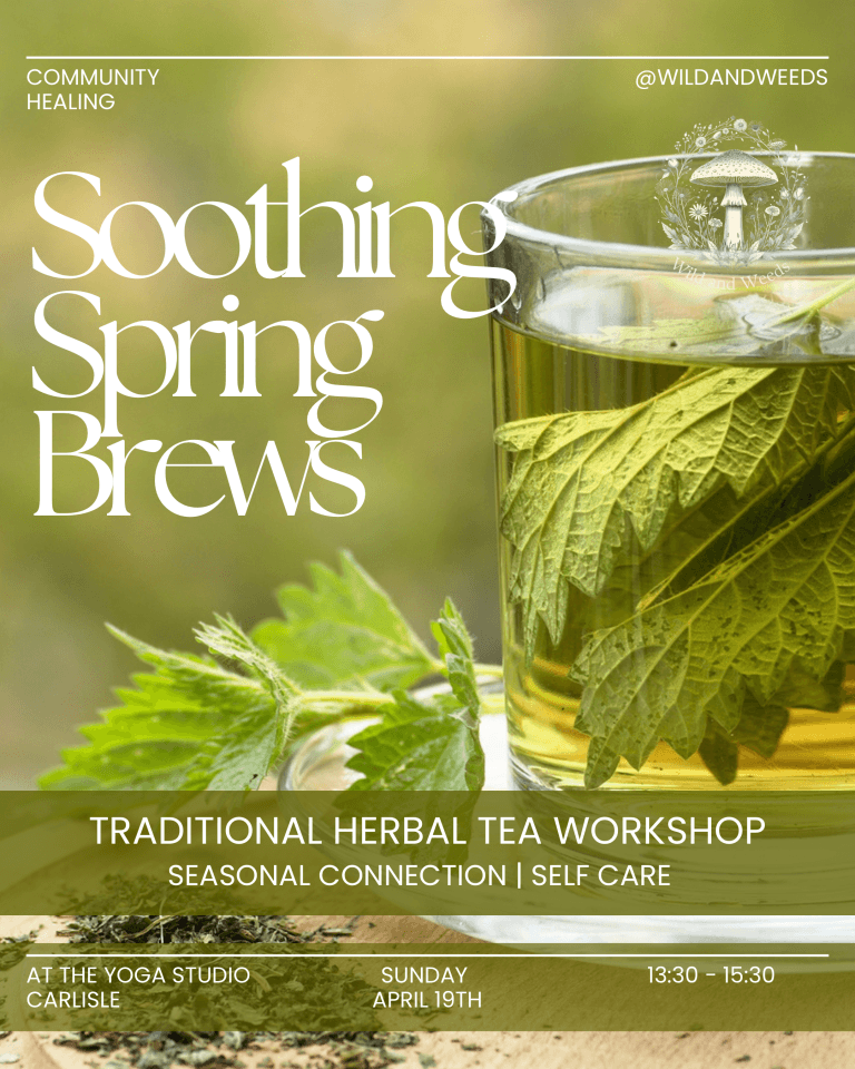 Soothing Spring Brews: Traditional Herbal Tea Workshop