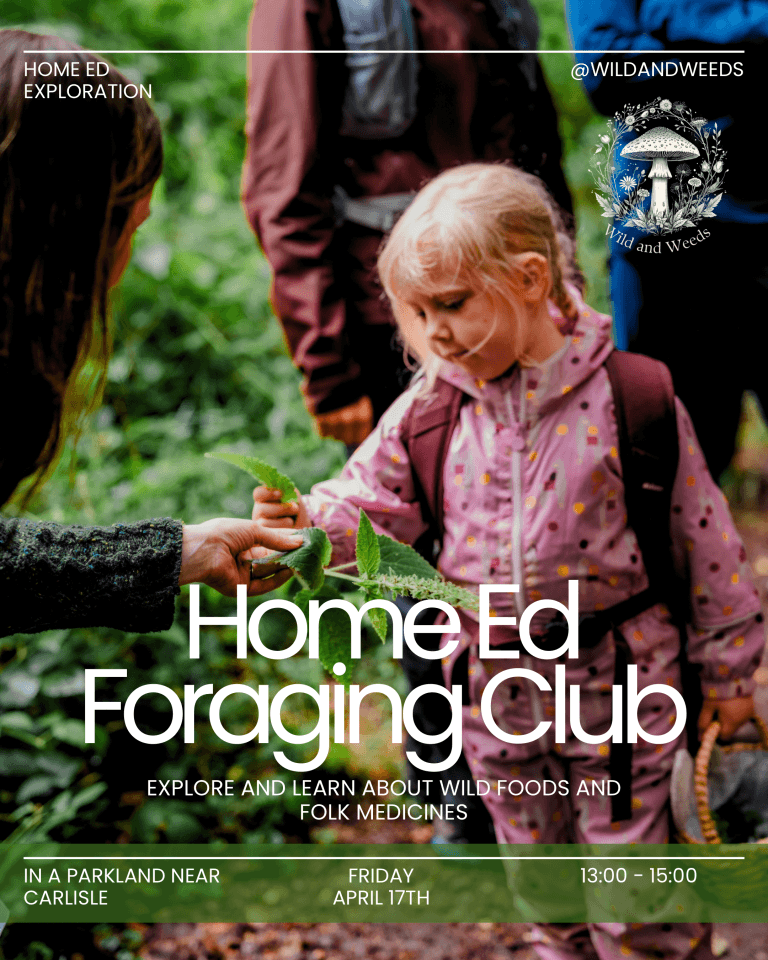 🌿 Home Ed Foraging Club – Monthly Wild Food Adventure