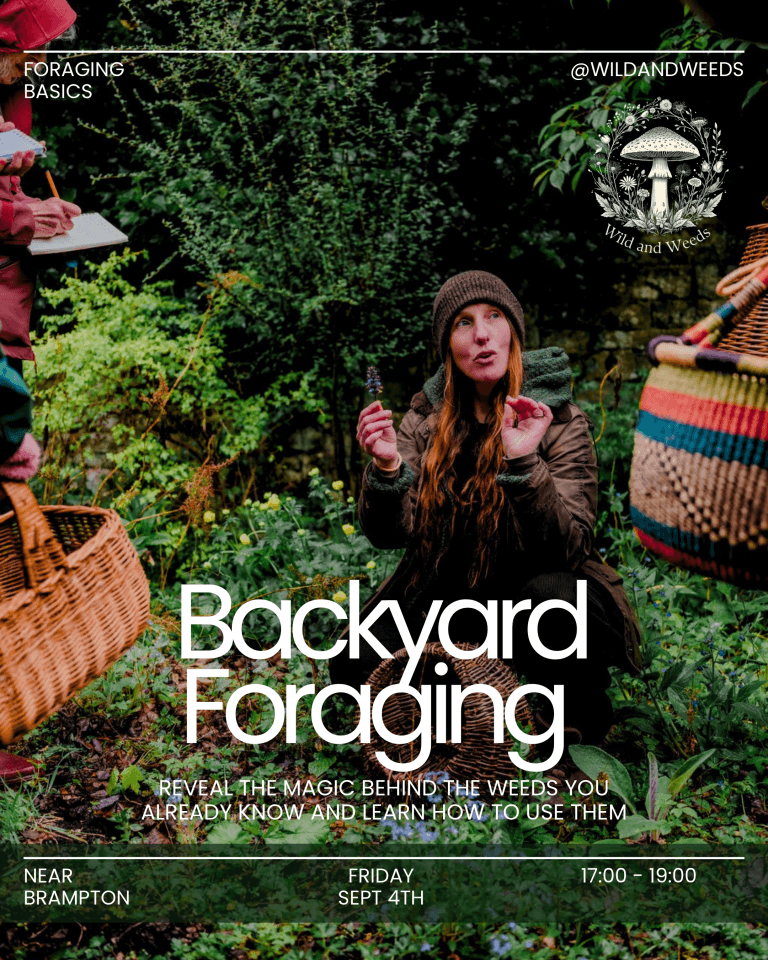 Backyard Foraging: An Introduction to the Plants on Your Doorstep