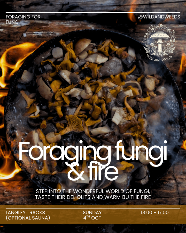 Foraging Fungi & Fire: An Afternoon of Wild Mushroom Foraging, Cooking & Optional Woodland Sauna