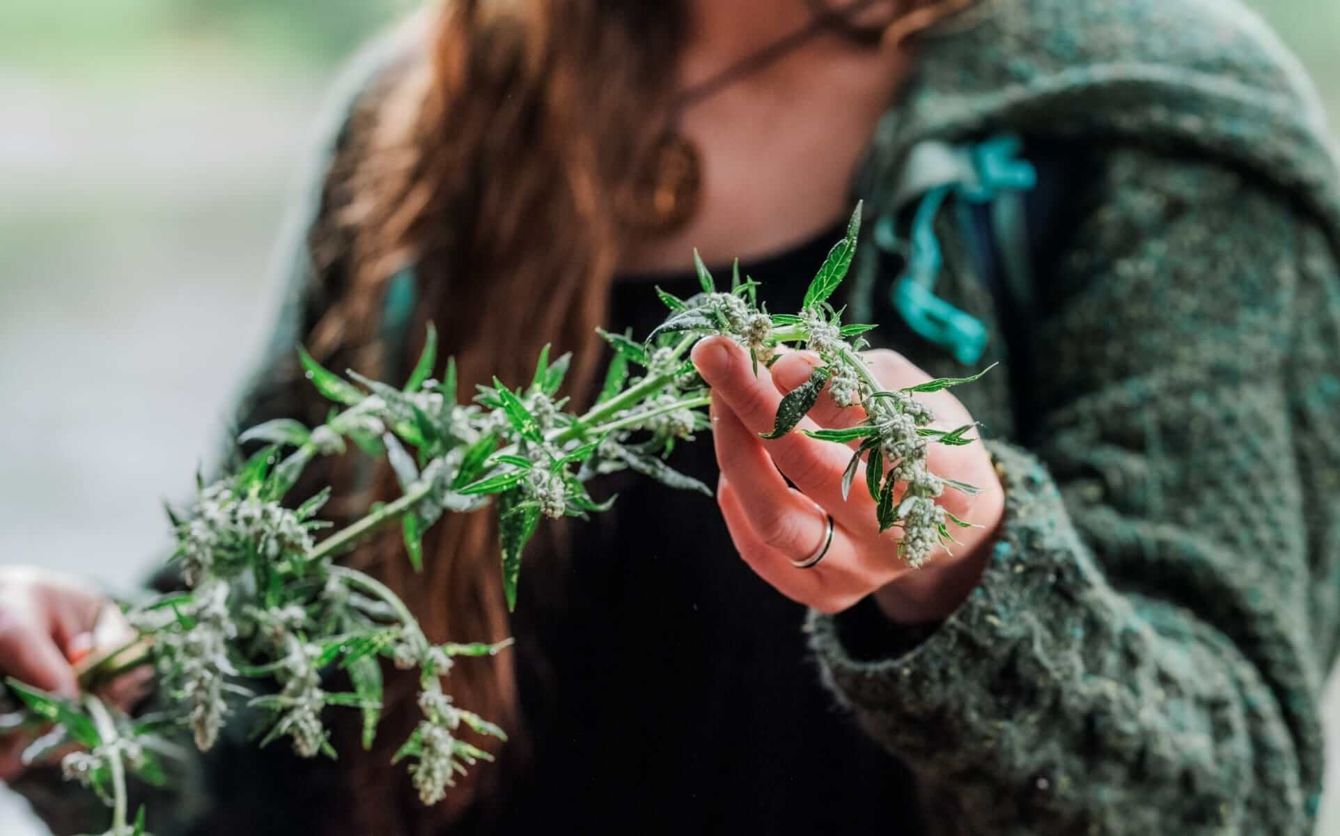 Bex holding a sprig of nettle tops and seeds she has just picked
