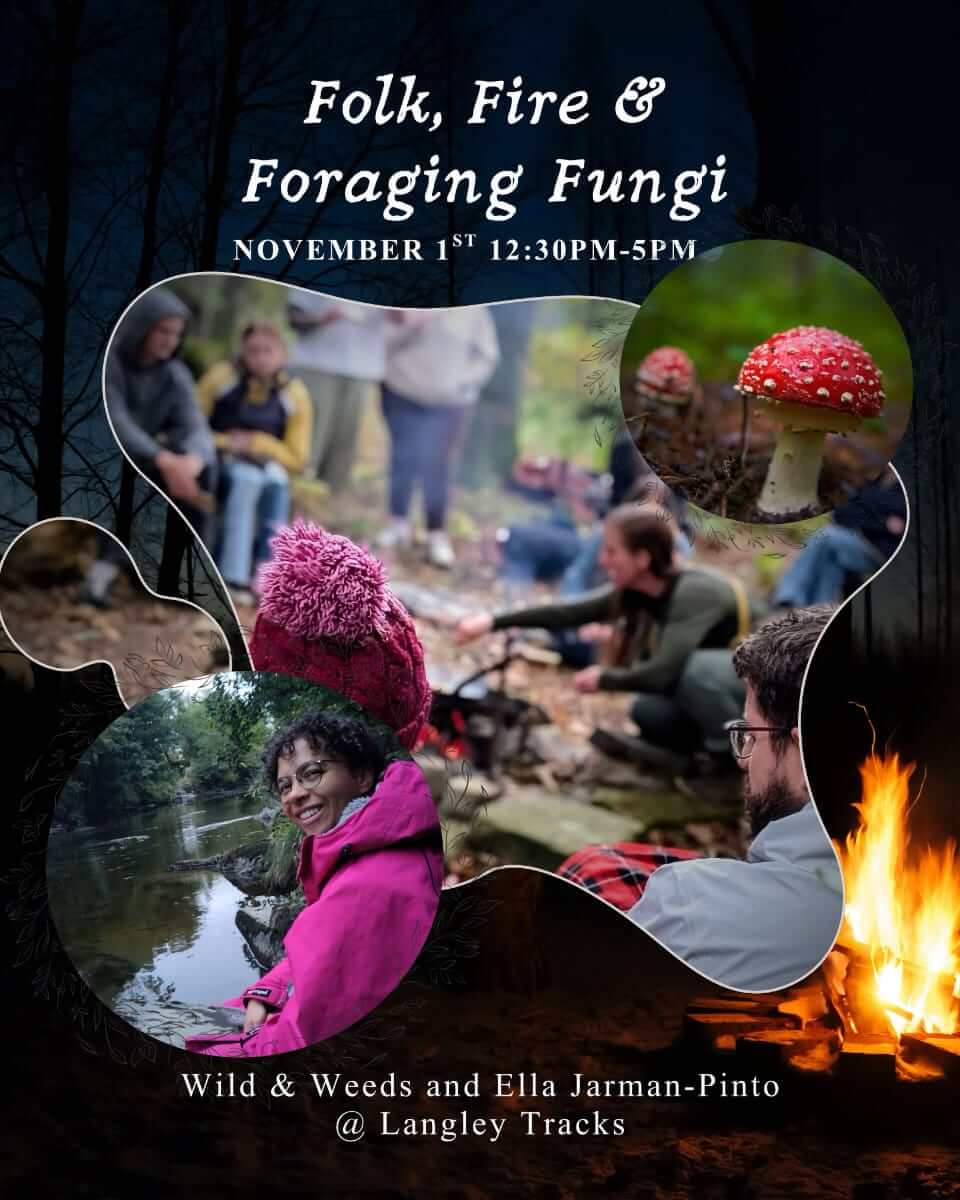 Folk, Fire & Foraging Fungi poster, 1 November, 12:30pm to 5pm at Langley Tracks: a group by a woodland campfire, a red fly agaric toadstool and a smiling woman in a pink coat by a river